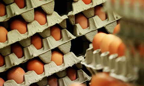 eggs-from-germany-have-ca-007