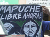 mapuche100