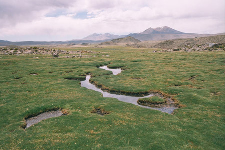 parque20nacional20lauca20chile201