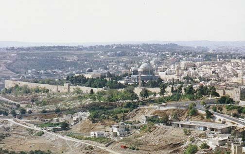 palestine_3761