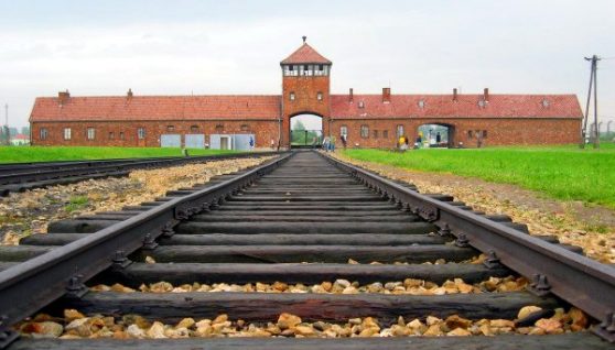 auschwitz-birkenau-main_track