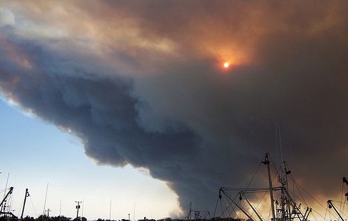 forestfire