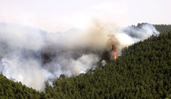 incendio_forestales