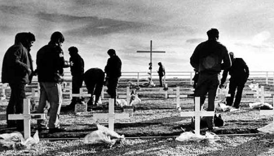 malvinas_5555
