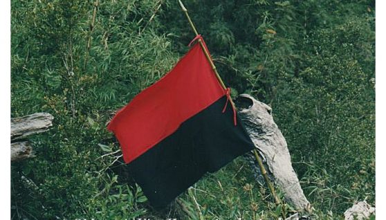homenaje