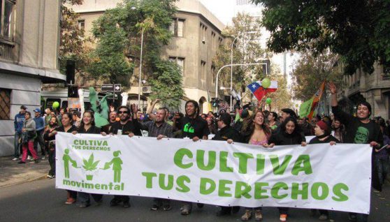 cultivatusderechos