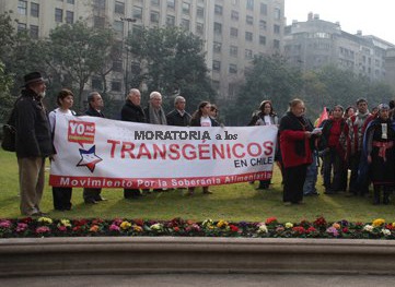 moratoria_transgnicos