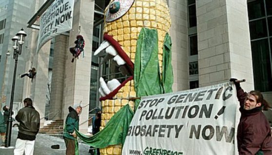monsanto_0