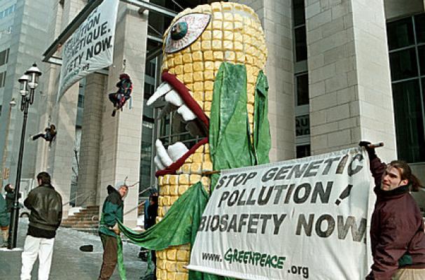 monsanto_0