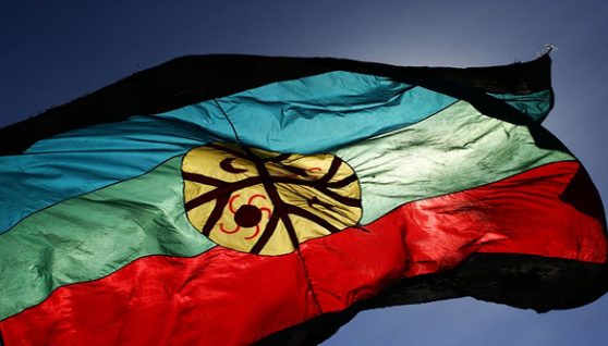 bandera-pueblo-mapuche