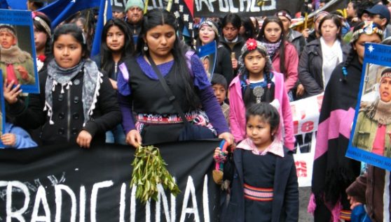 mapuche_mujeres_protesta600