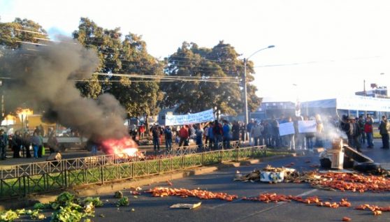 mapuches_productores