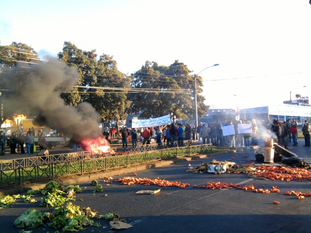 mapuches_productores