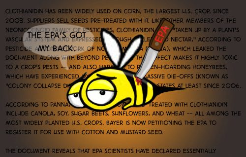 wept-epa-disses-bees